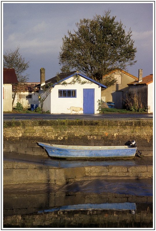 Eguille barque planquee verticale.jpg